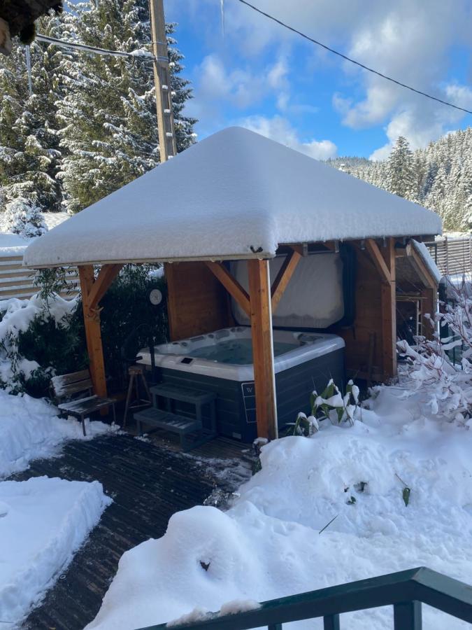 Maison La Deviniere - Sauna Et Spa Compris Accessibles Toute L'Annee Xonrupt-Longemer Eksteriør billede